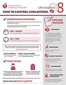 How To Create A Balanced Diet For Managing Cholesterol