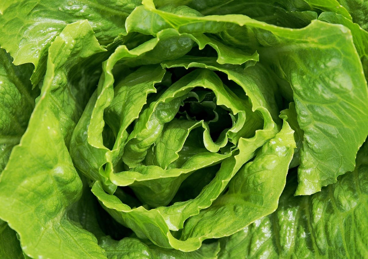 The Role Of Antioxidants In Promoting Heart Health And Lowering Cholesterol