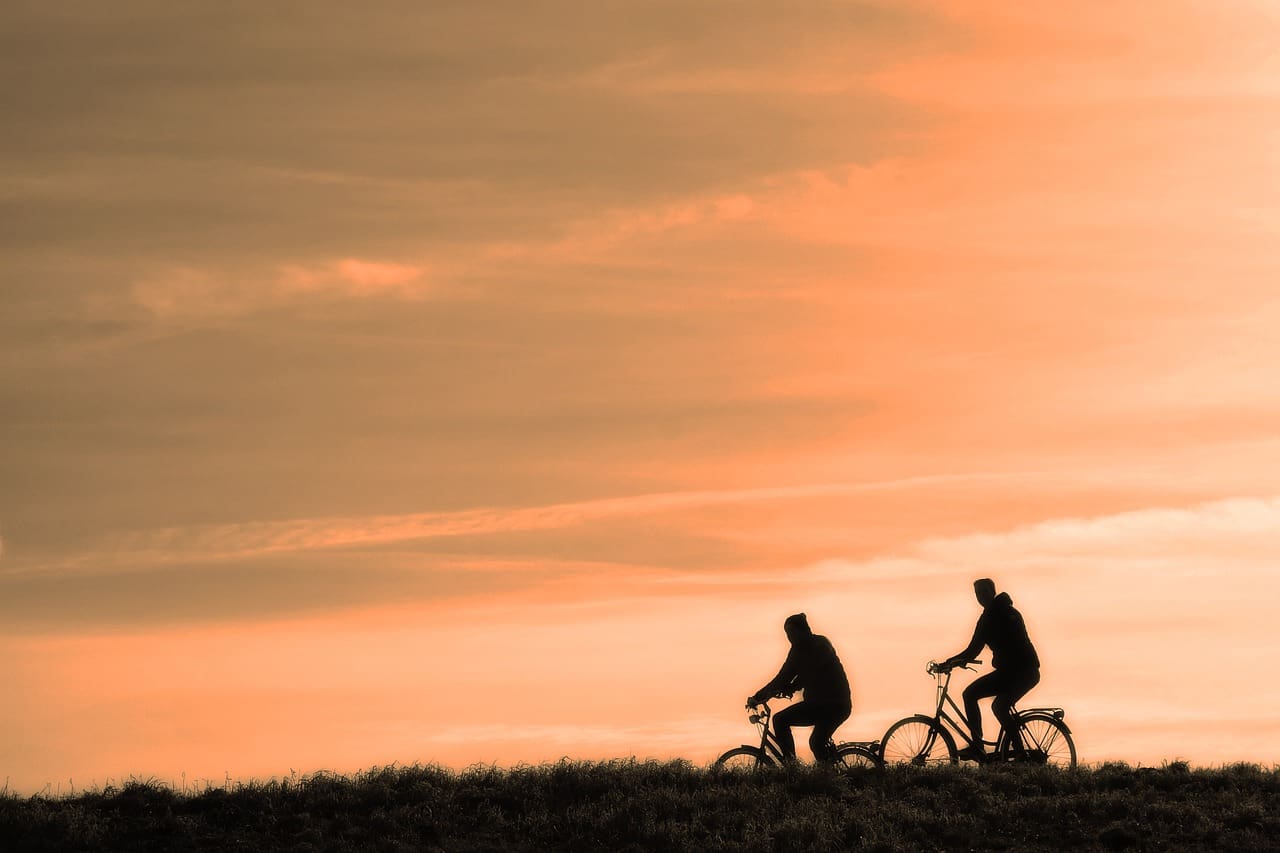 The Role Of Exercise In Maximizing The Benefits Of Cholesterol-lowering Vitamins