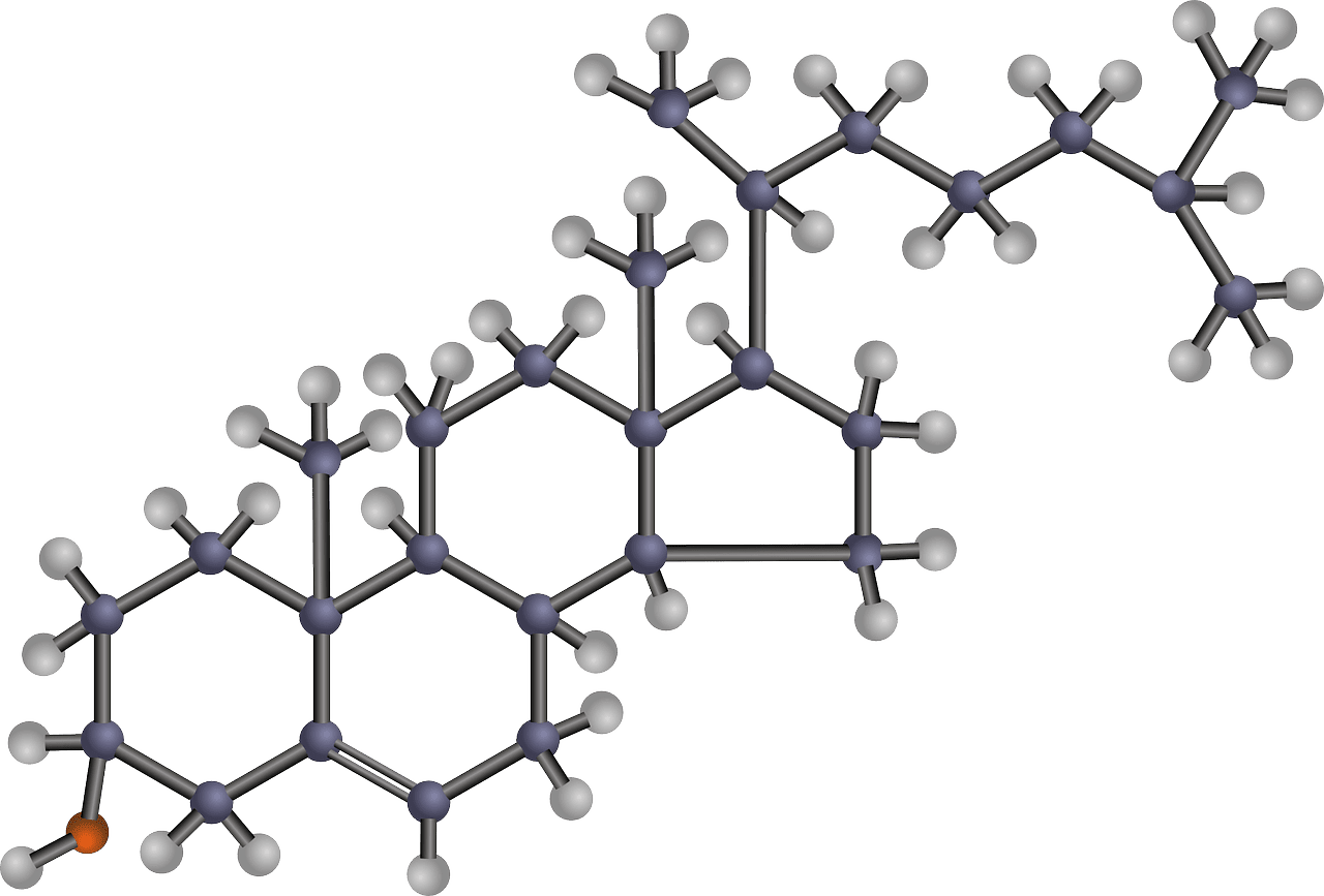How Can I Create A Collaborative Relationship With A Healthcare Professional For Long-term Cholesterol Management? How Can I Create A Collaborative Relationship With A Healthcare Professional For Long-term Cholesterol Management?