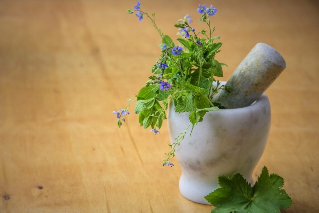 Beginners Guide To Using Vitamins And Natural Remedies For Cholesterol