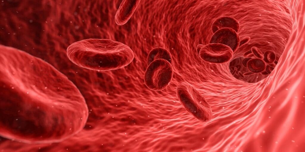 How Does Cholesterol Affect Heart Health?