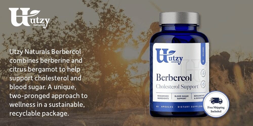 How To Choose The Best Supplements For Lowering Cholesterol