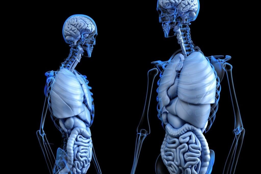 How To Monitor Cholesterol Levels When Using Vitamins And Natural Remedies