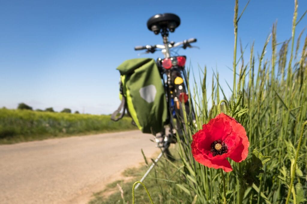 Incorporating Exercise With Vitamins And Natural Remedies For Cholesterol