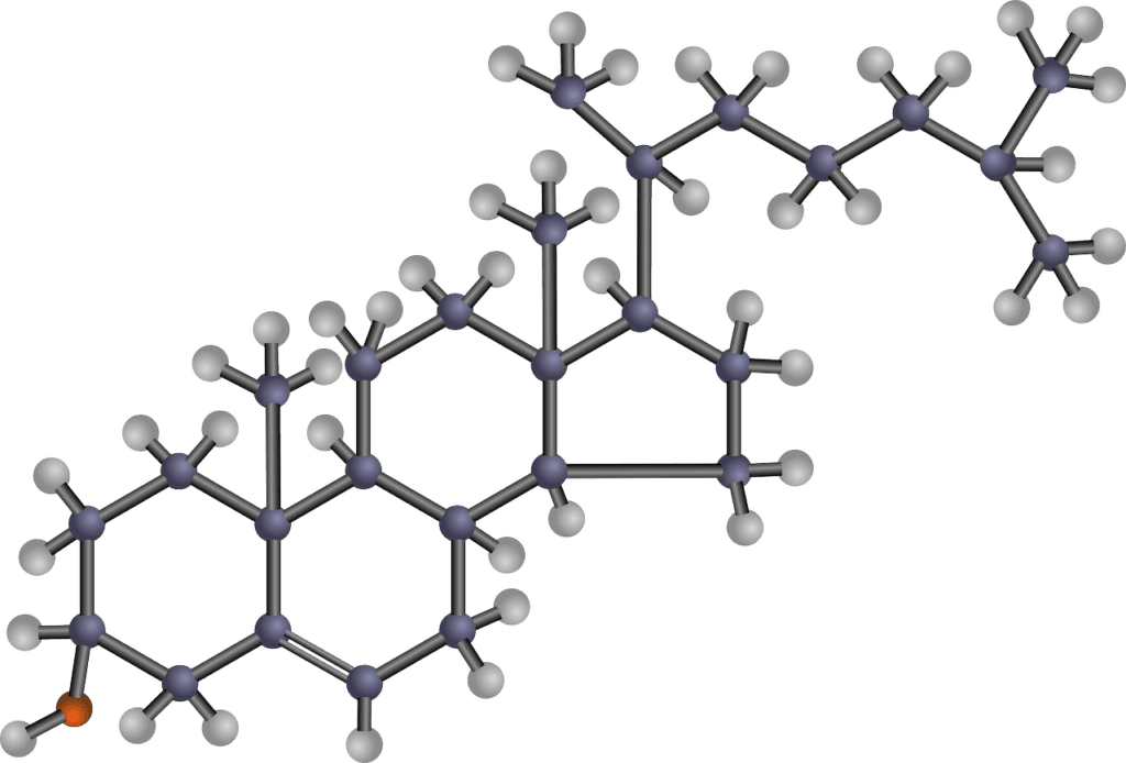 Supplements For Lowering Cholesterol: Common Mistakes To Avoid Supplements For Lowering Cholesterol: Common Mistakes To Avoid