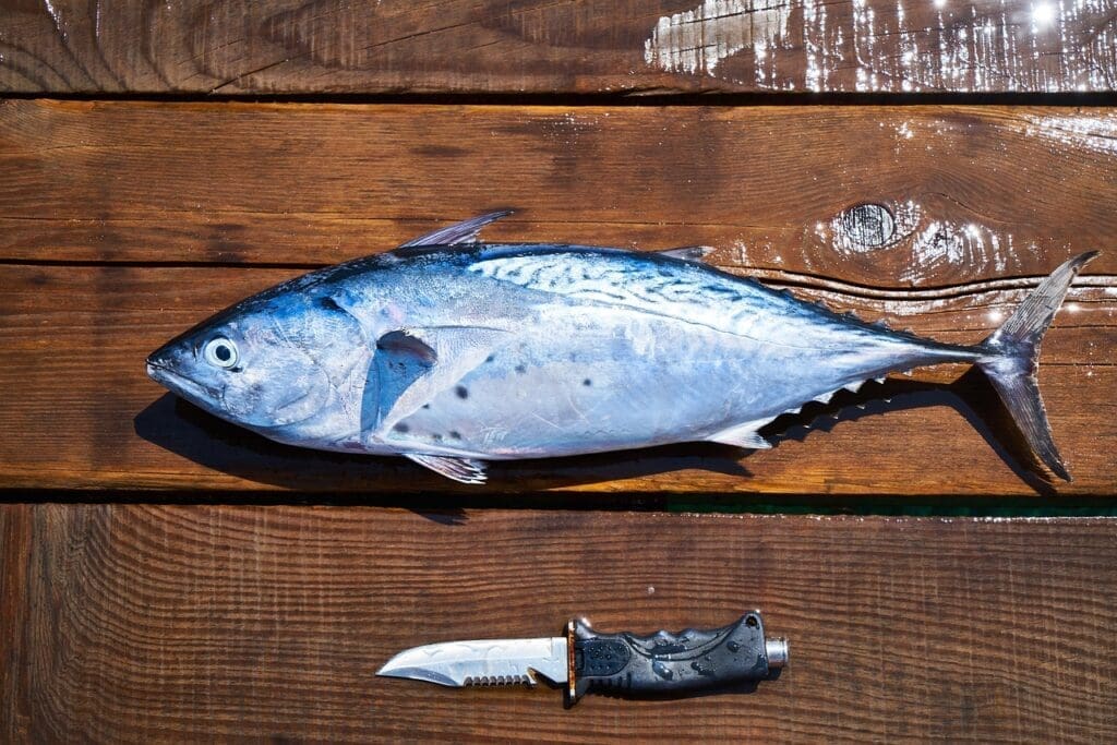 The Benefits Of Omega-3 Vitamins For Lowering Cholesterol