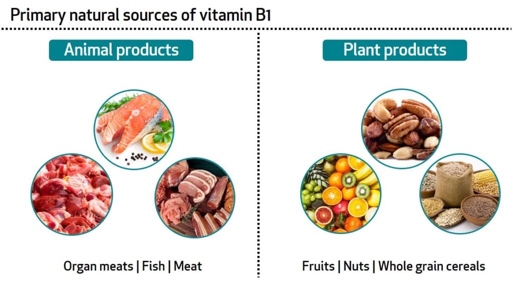 Best Ways To Incorporate Vitamin B1 (thiamine) Into Your Diet To Prevent Deficiency Best Ways To Incorporate Vitamin B1 (thiamine) Into Your Diet To Prevent Deficiency