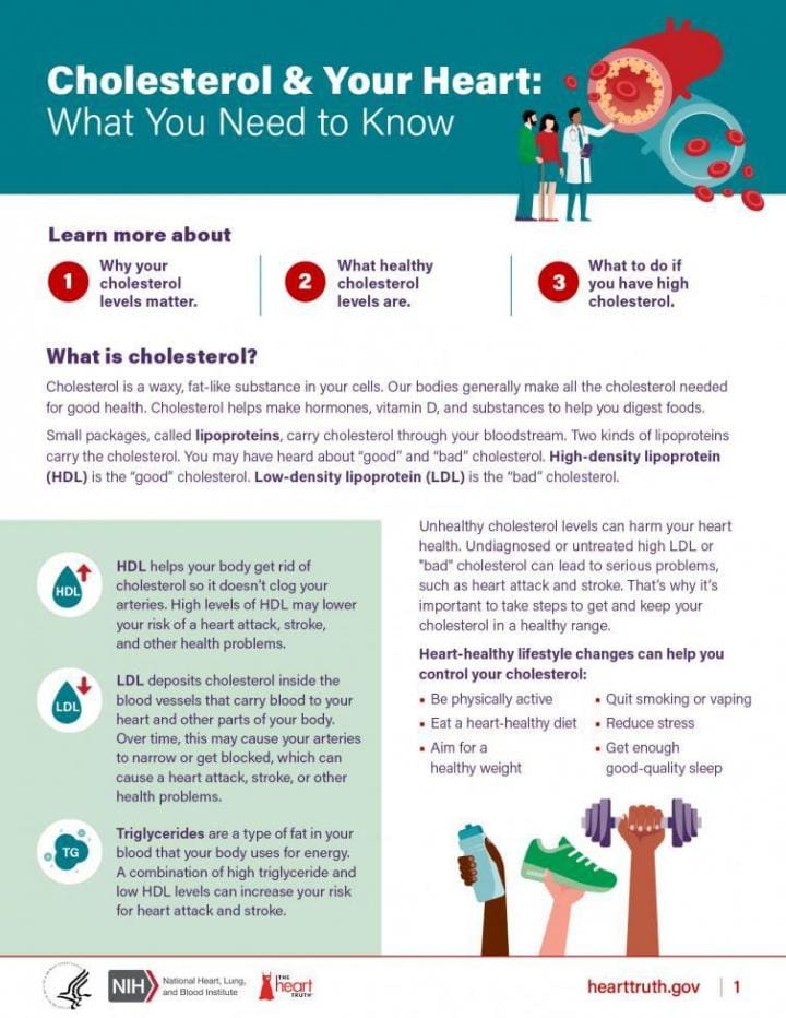 Cholesterol Testing: What You Need To Know