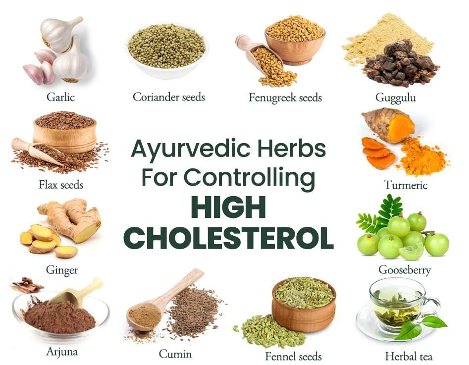 How To Create A Vitamin And Herb Regimen For Cholesterol Management