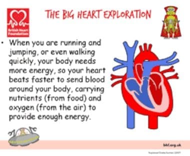 How To Educate Children About The Importance Of Heart Health