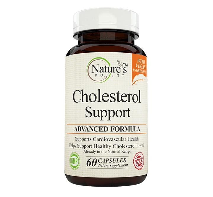 Supplements For Lowering Cholesterol: Exploring Different Approaches