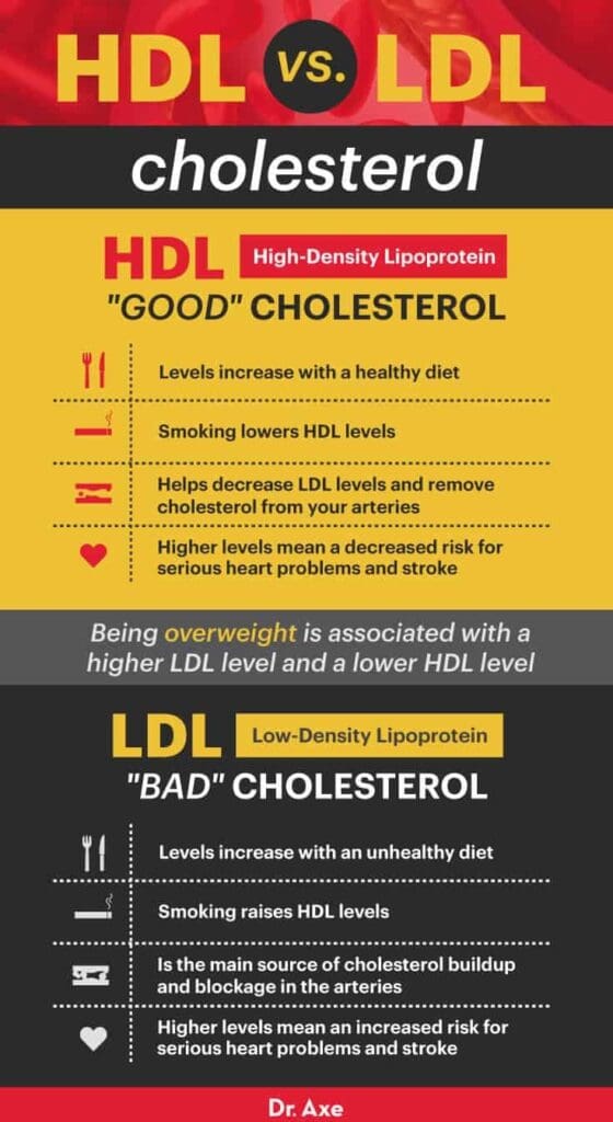 The Best Ways To Raise HDL (good) Cholesterol Levels The Best Ways To Raise HDL (good) Cholesterol Levels
