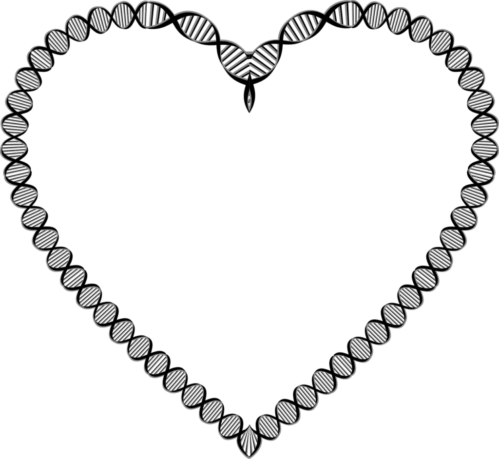 The Impact Of Genetics On Cholesterol Levels And Heart Health