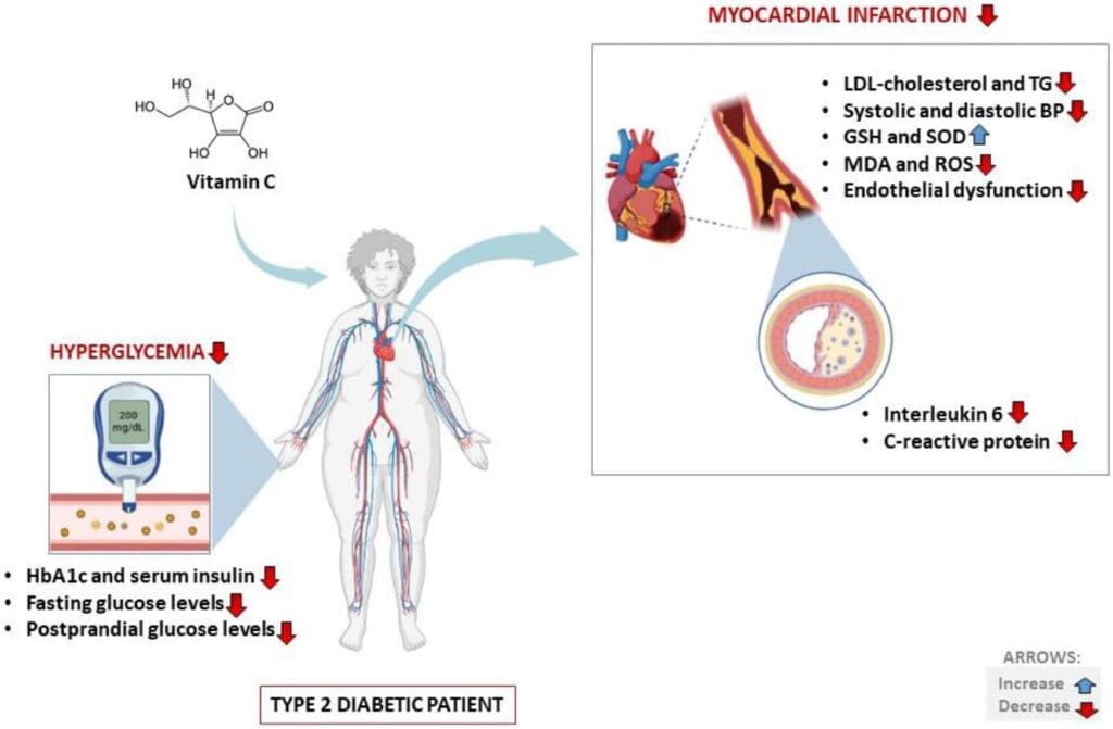 The Importance Of Cholesterol-Lowering Vitamins In Preventing Chronic Diseases