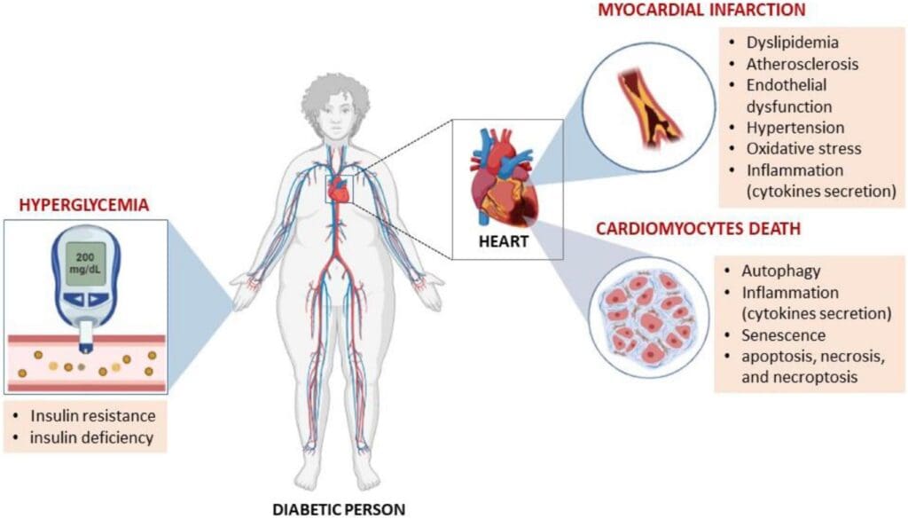 The Importance Of Cholesterol-Lowering Vitamins In Preventing Chronic Diseases
