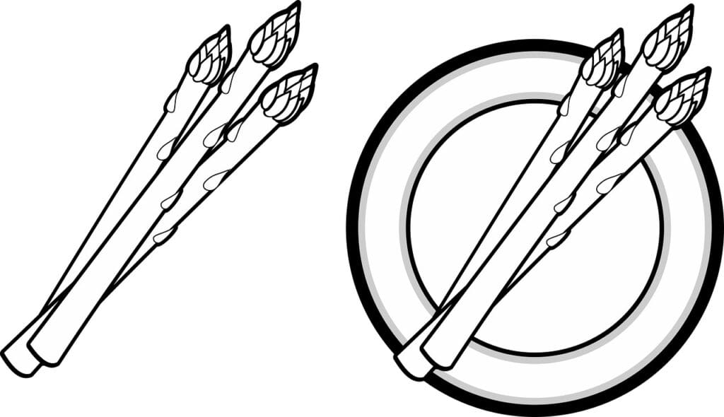 Understanding The Different Types Of Cholesterol And How Vitamins Can Help Regulate Them