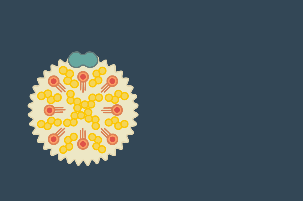 Understanding The Role Of Supplements In Lowering Cholesterol Understanding The Role Of Supplements In Lowering Cholesterol