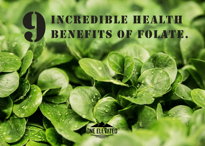What Are The Key Benefits Of Vitamin B9 (folate) For Managing Cholesterol Levels?