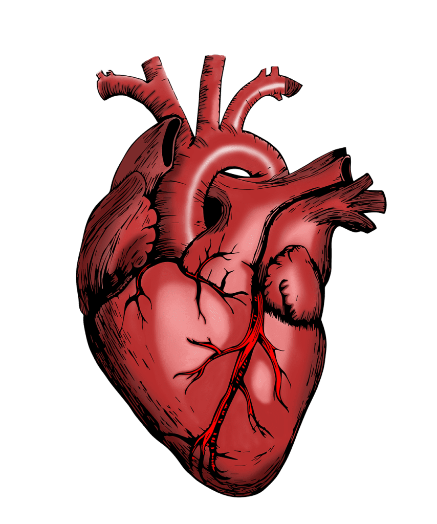 Discovering The Benefits Of Meditation And Mindfulness For Heart Health And Cholesterol Levels