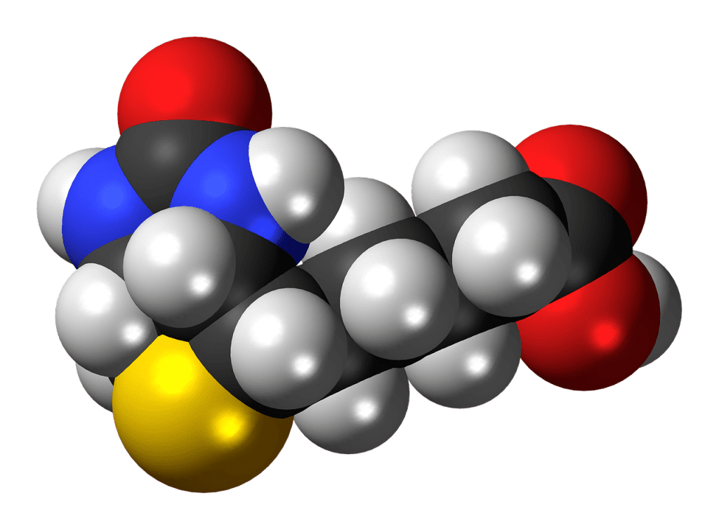 How To Choose The Right Vitamin B3 Supplements For Cholesterol Control