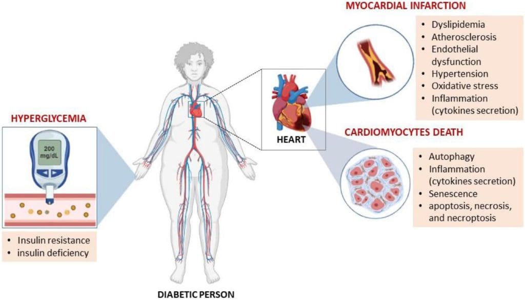 How To Optimize Cholesterol Levels Through A Comprehensive Approach To Vitamin A, B, And K Intake