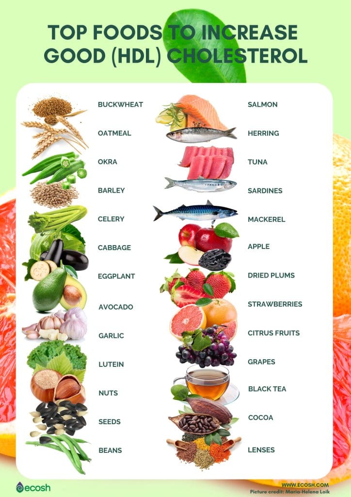 The Best Cholesterol-Lowering Vitamin-Rich Foods For Achieving Optimal Nutrition