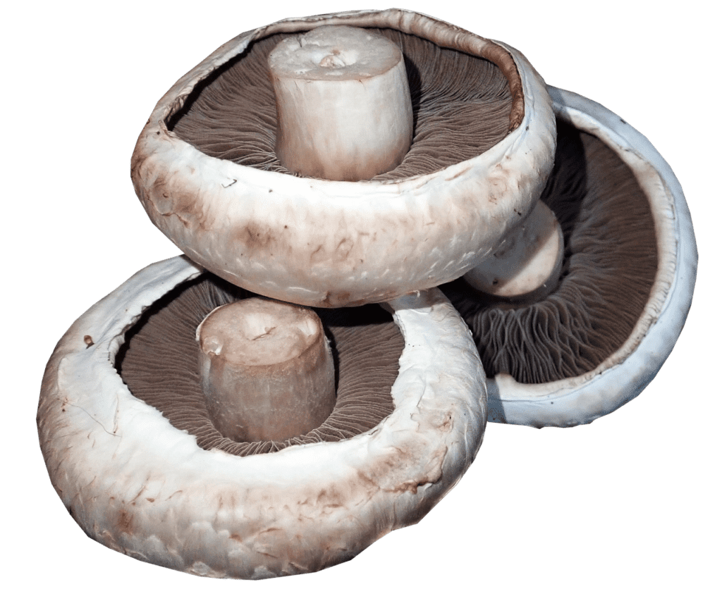 The Impact Of Processed And Fast Foods On Cholesterol Levels And Heart Health