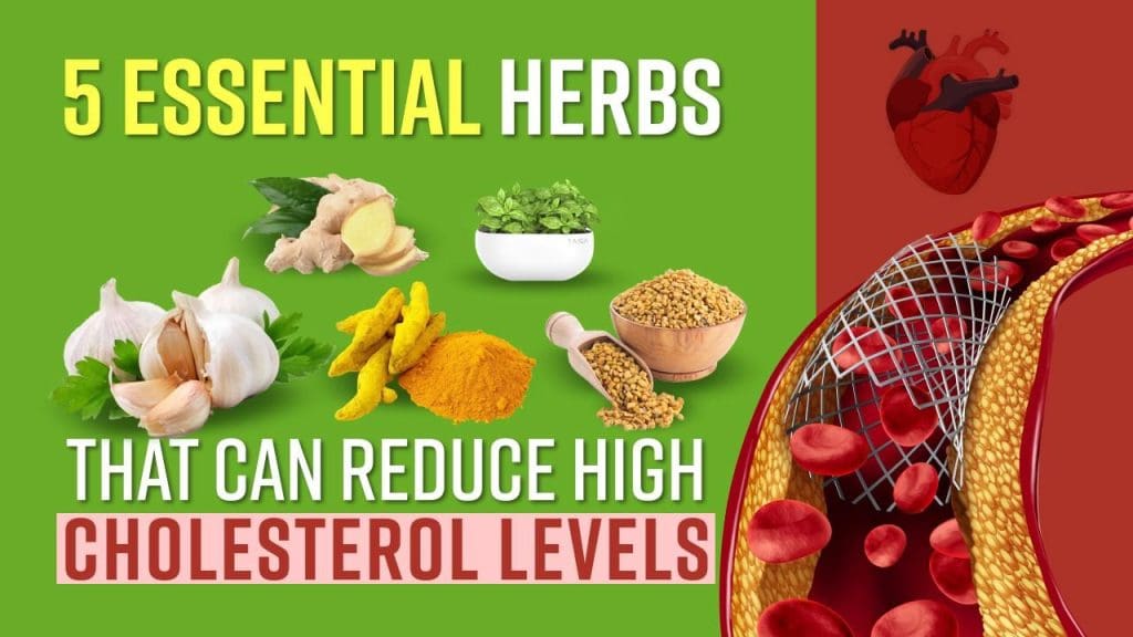Top Natural Remedies For High Cholesterol