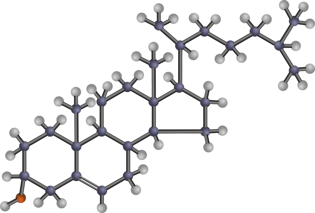 Vitamin B Complex For Maintaining A Healthy Cholesterol Profile Vitamin B Complex For Maintaining A Healthy Cholesterol Profile