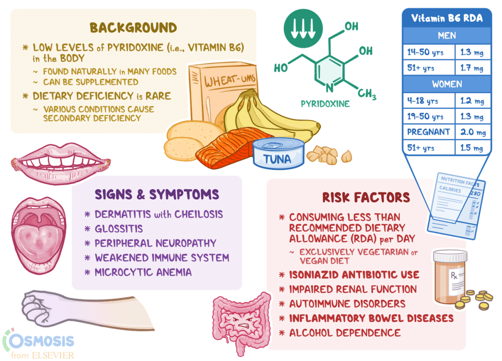 What Are The Long-term Effects Of Vitamin B6 And Vitamin D Deficiencies On Cholesterol Levels?