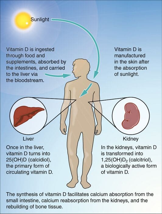 What Are The Long-term Effects Of Vitamin B6 And Vitamin D Deficiencies On Cholesterol Levels?