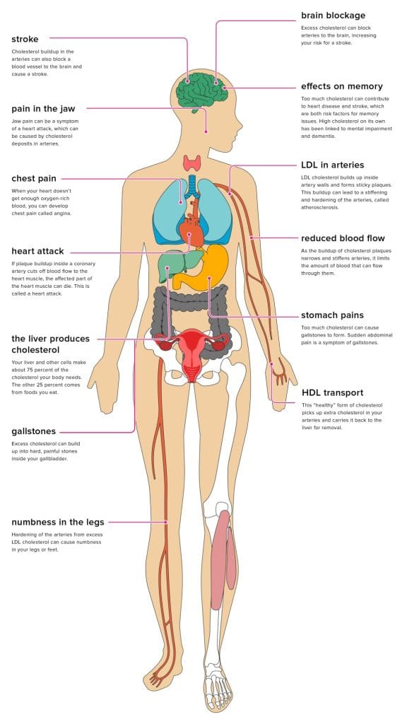 What Is Cholesterol And How Does It Affect Your Heart?