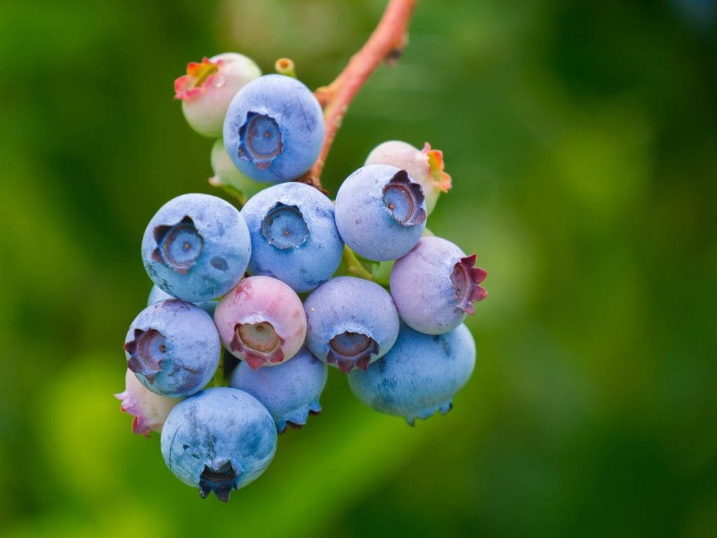 What You Need To Know About Cholesterol-Lowering Vitamin Deficiencies
