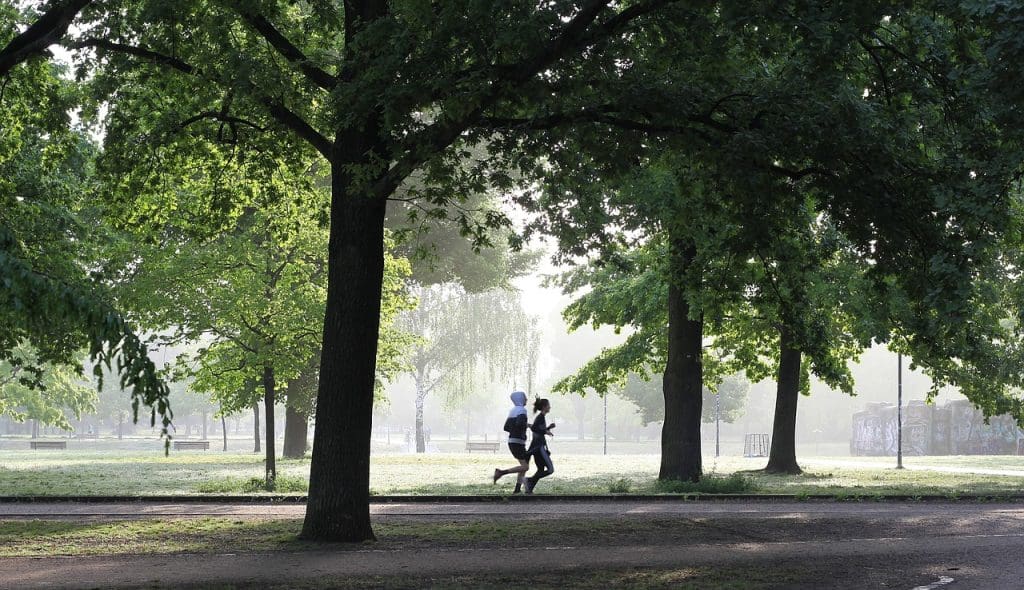 The Importance Of Exercise In Managing Cholesterol And Maintaining Heart Health