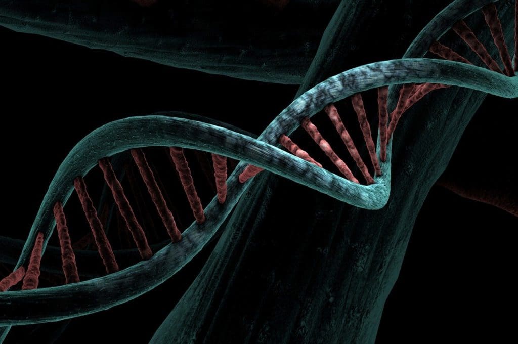 Understanding The Role Of Genetics In Cholesterol And Heart Health Understanding The Role Of Genetics In Cholesterol And Heart Health