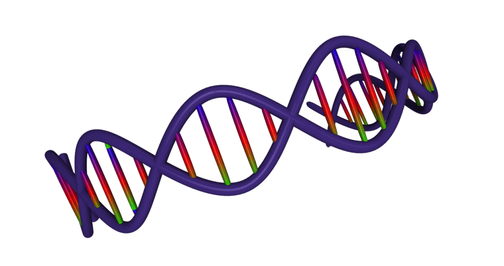 Understanding The Role Of Genetics In Cholesterol And Heart Health Understanding The Role Of Genetics In Cholesterol And Heart Health