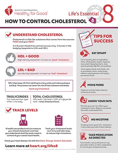 How To Create A Balanced Diet For Managing Cholesterol